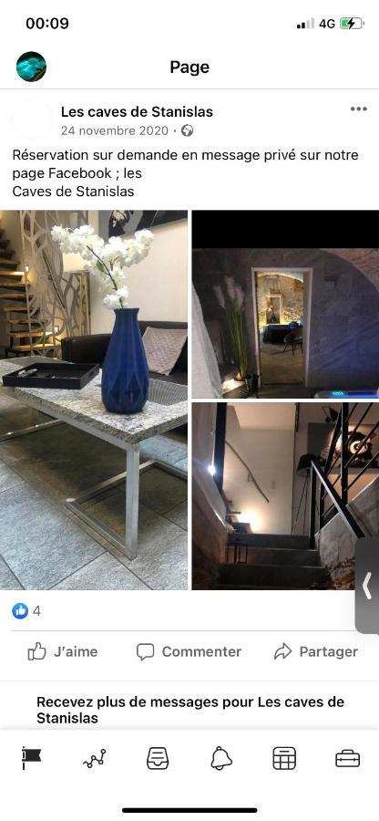 Jaccuzi & Spa Des Caves Stanislas Nancy Eksteriør billede